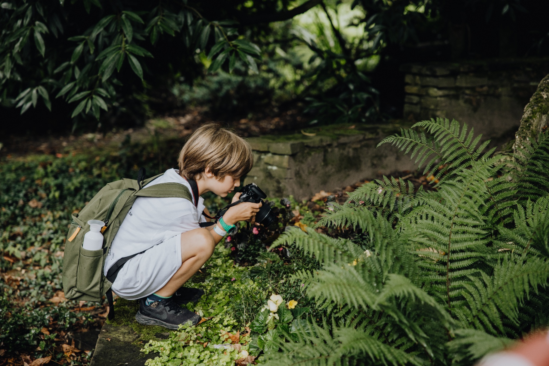 Jongen fotografeert varens